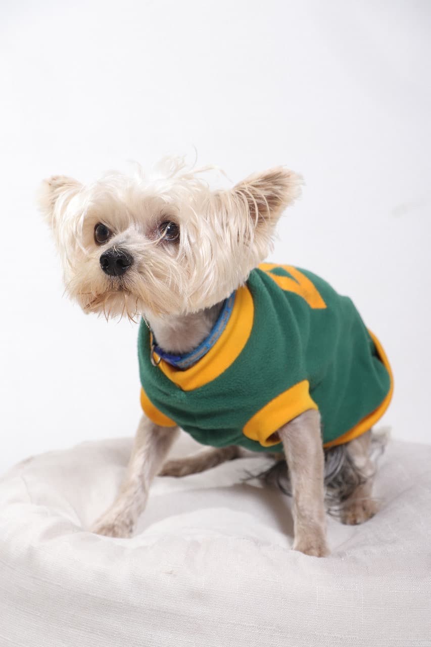 Buddy Photo Shoot