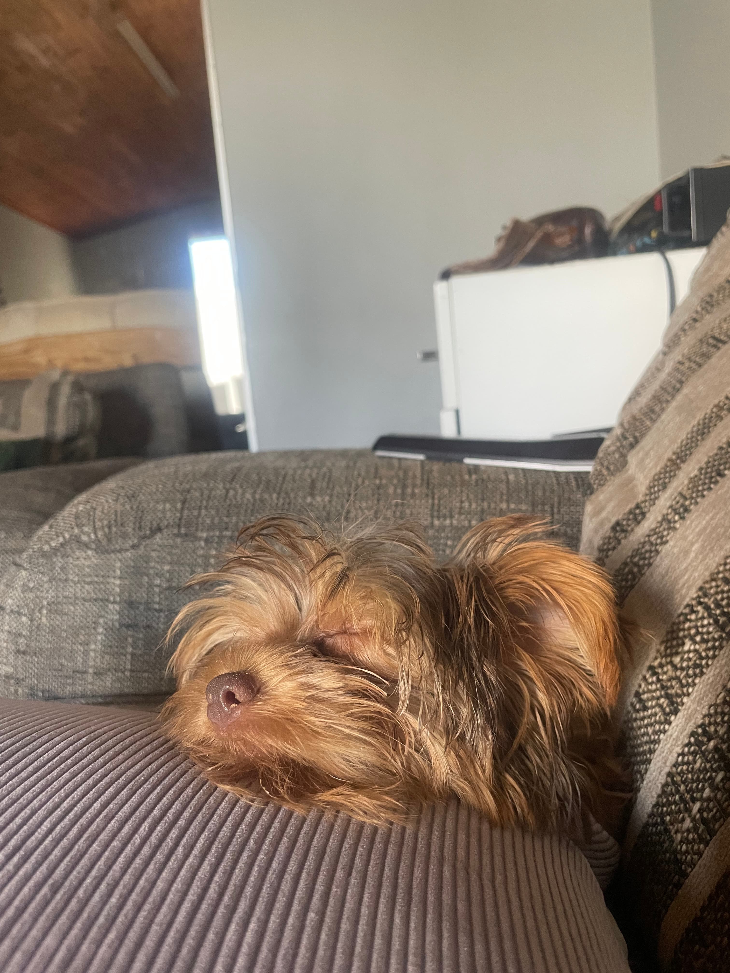 Chloe Sleep