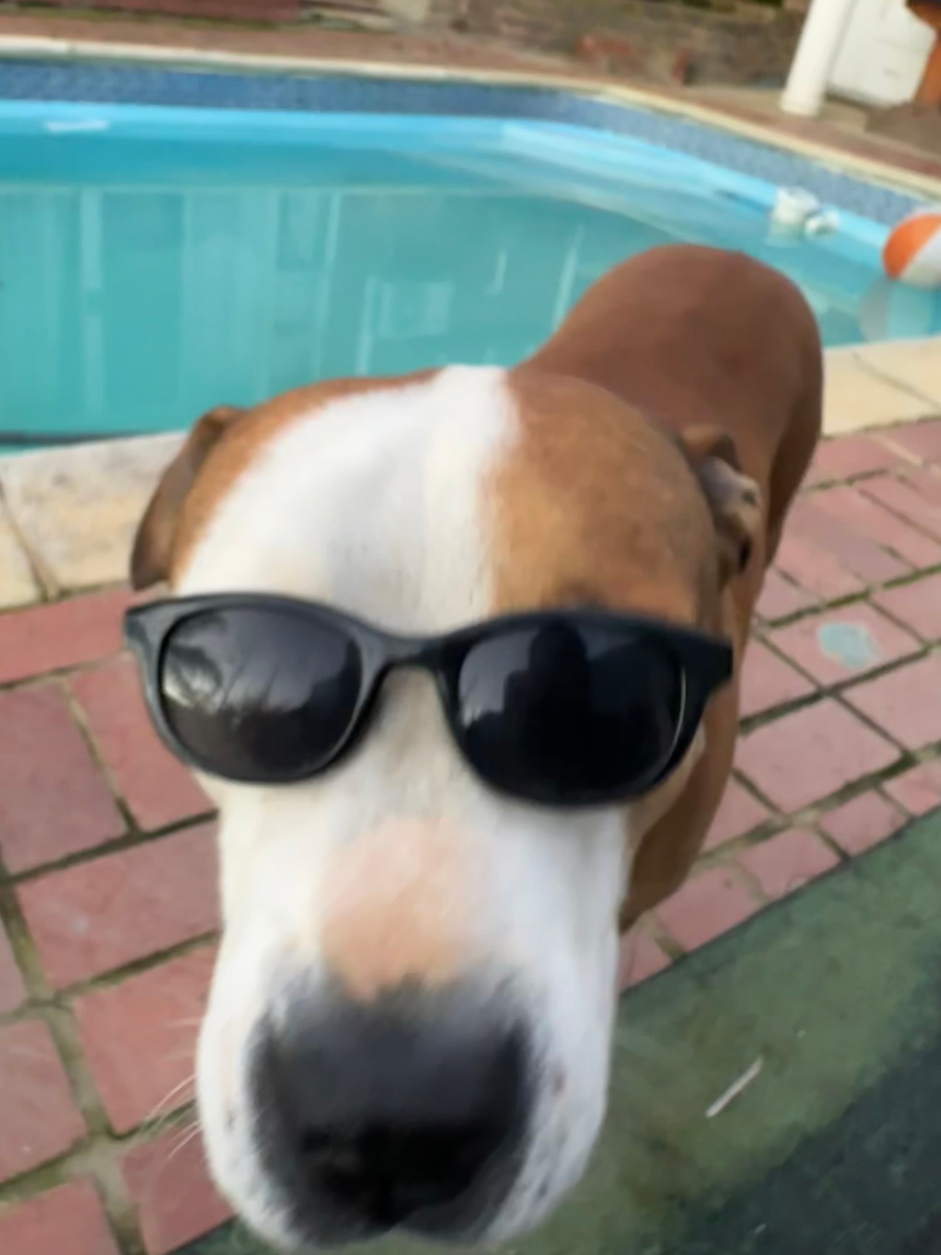 Tupac with Glasses